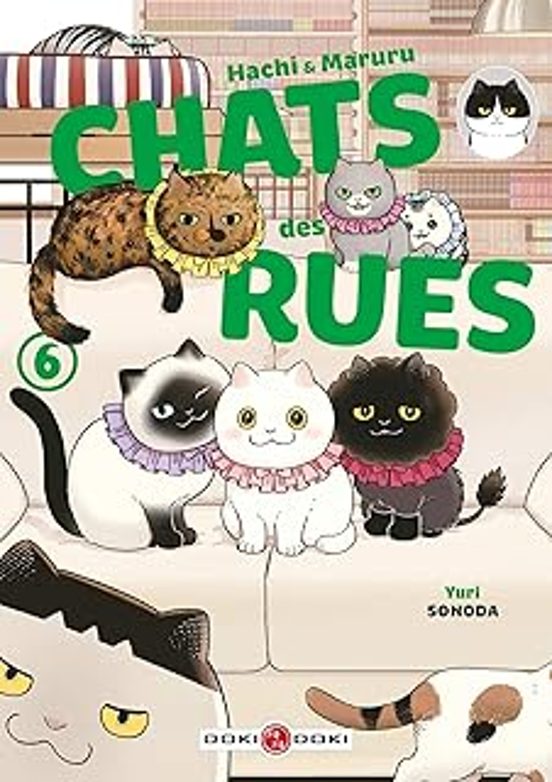 Hachi & Maruru : Chats Des Rues. Vol. 6