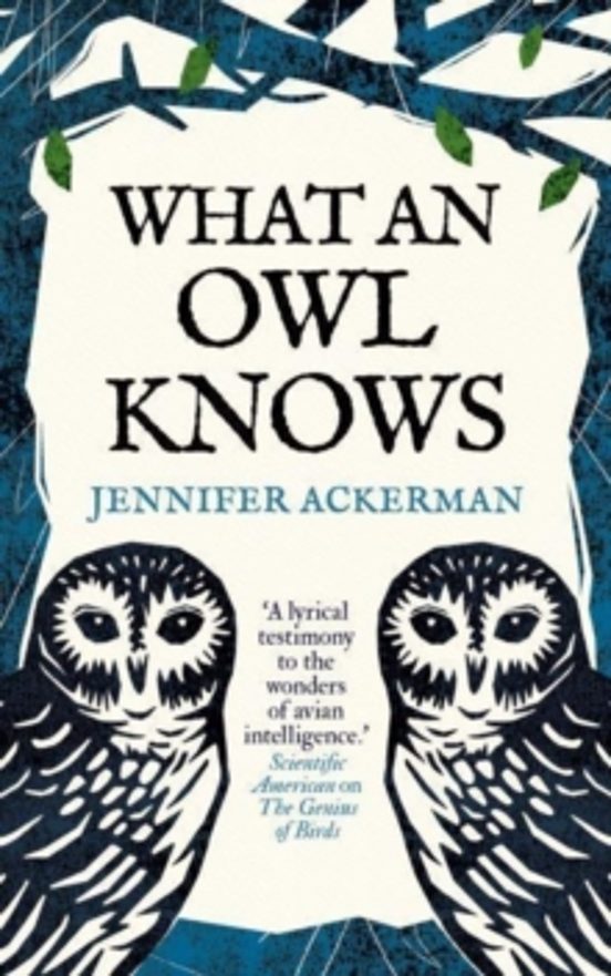 What An Owl Knows
