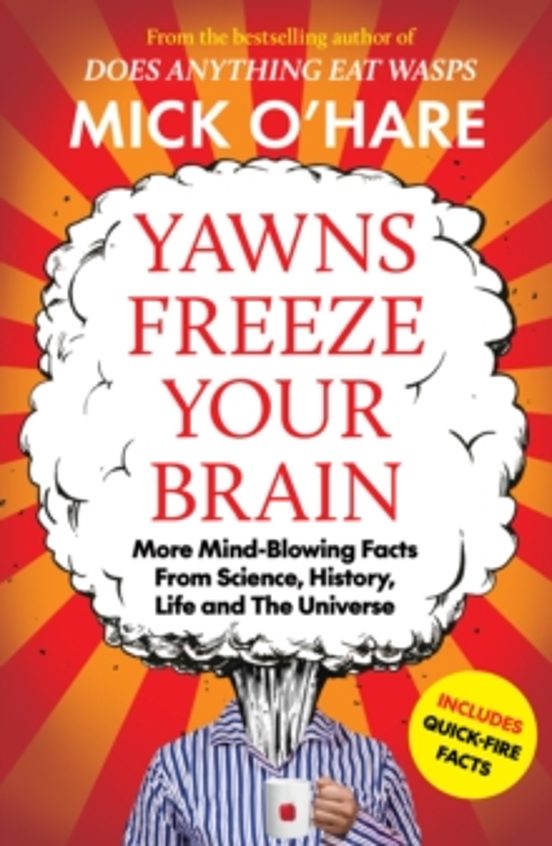 Yawns Freeze Your Brain