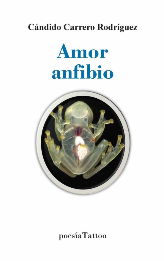 Amor Anfibio