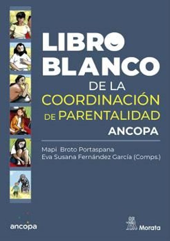 Libro Blanco De La Coordinación De Parentalidad
