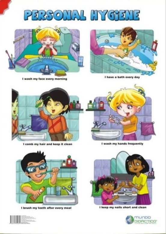 My Body/ Personal Care