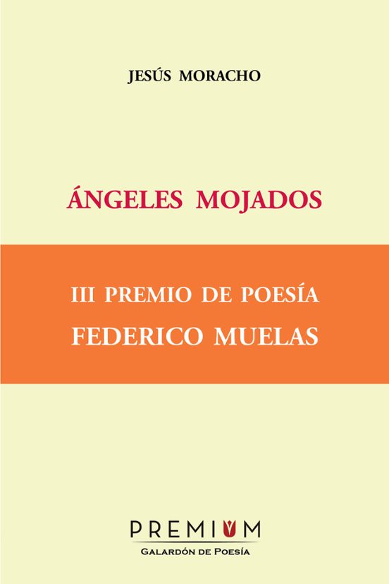 Angeles Mojados