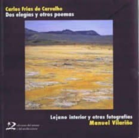 Dos elegías y otros poemas