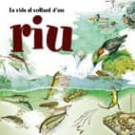 La Vida Al Voltant Dun Riu