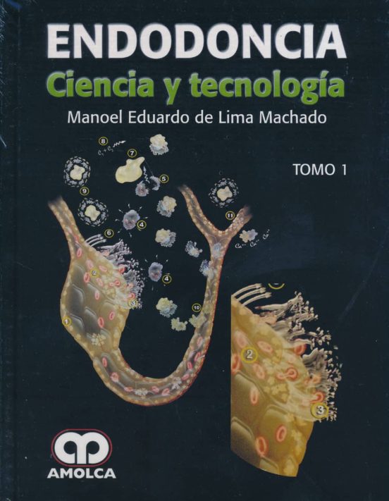 Endodoncia. Ciencia Y Tecnologia