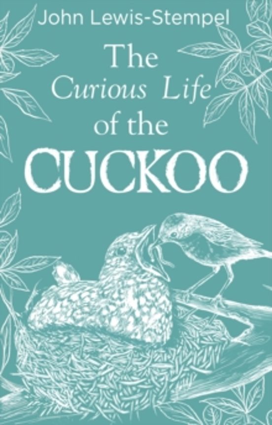 The Curious Life Of The Cuckoo