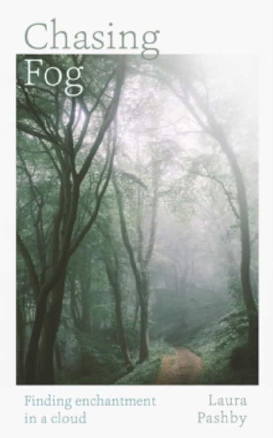Chasing Fog