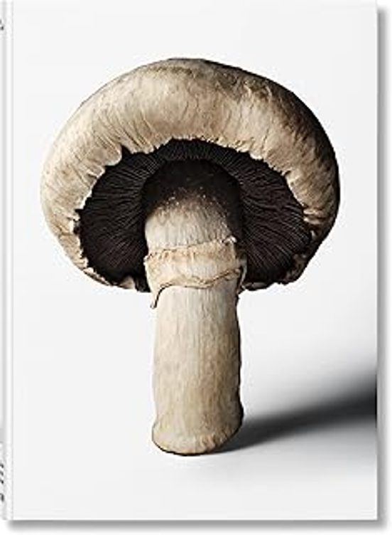 The Gourmand S Mushroom. A Collection Of Stories & Recipes