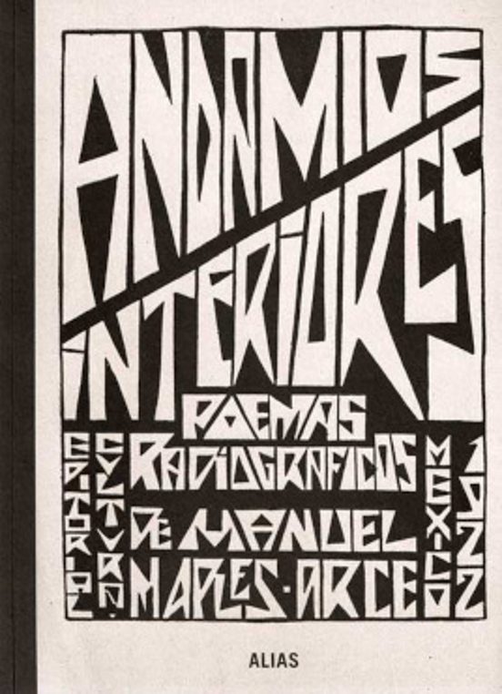 Andamios Interiores