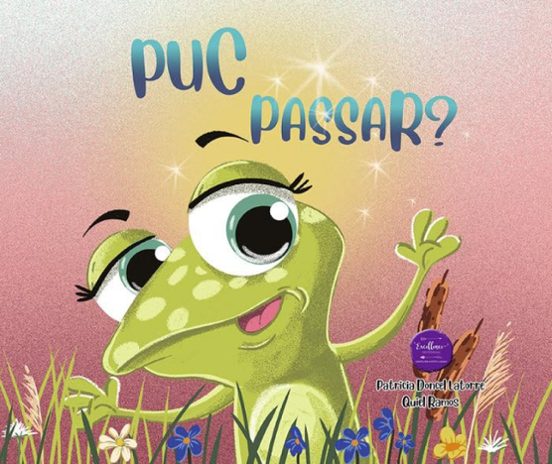 Puc Passar?