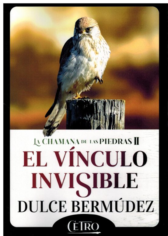 El vínculo invisible