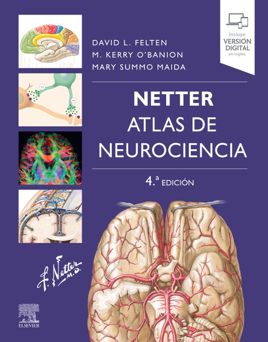 Netter. Atlas De Neurociencia