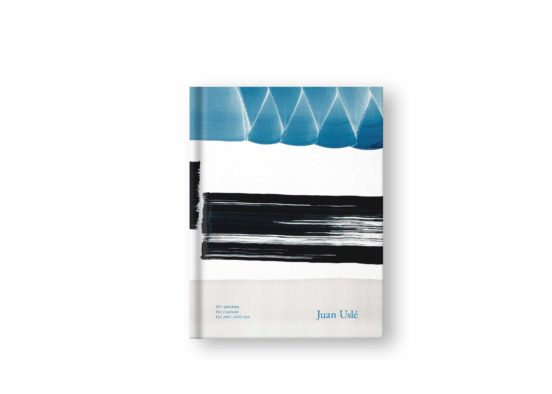 Juan Uslé. Ojo Y Paisaje
