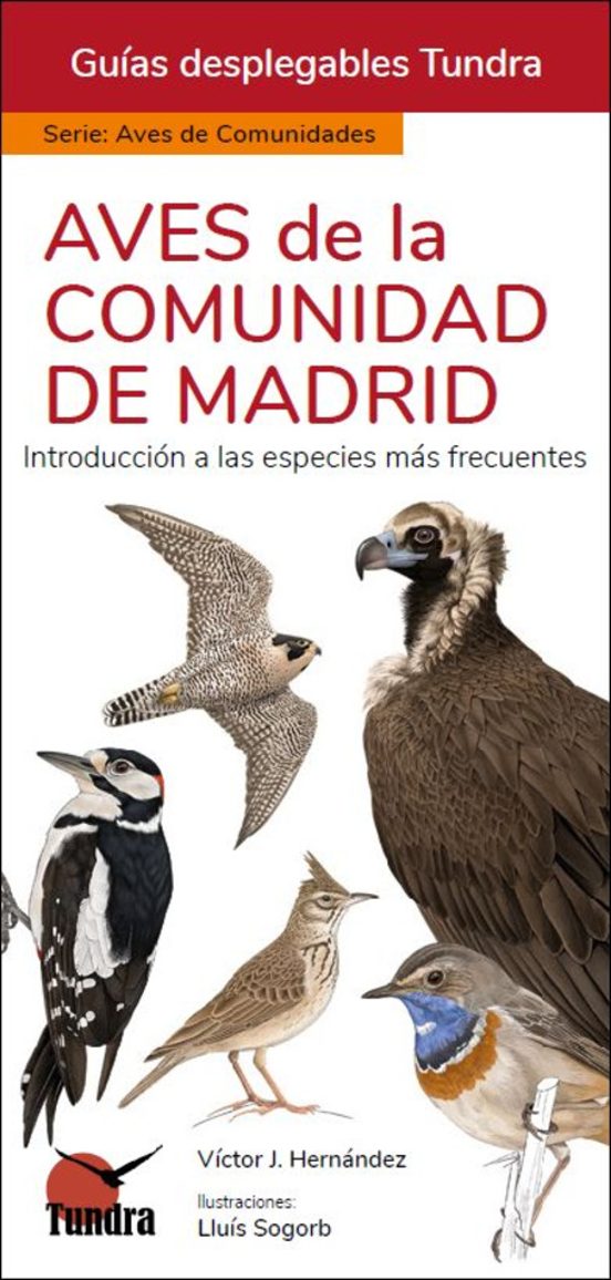 Aves De La Comunidad De Madrid- Guias Desplegables Tundra