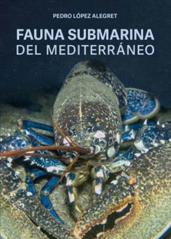 Fauna Submarina Del Mediterraneo