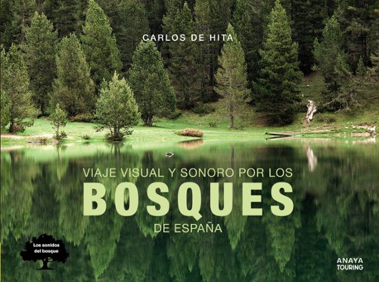 Viaje Visual Y Sonoro Por Los Bosques De España