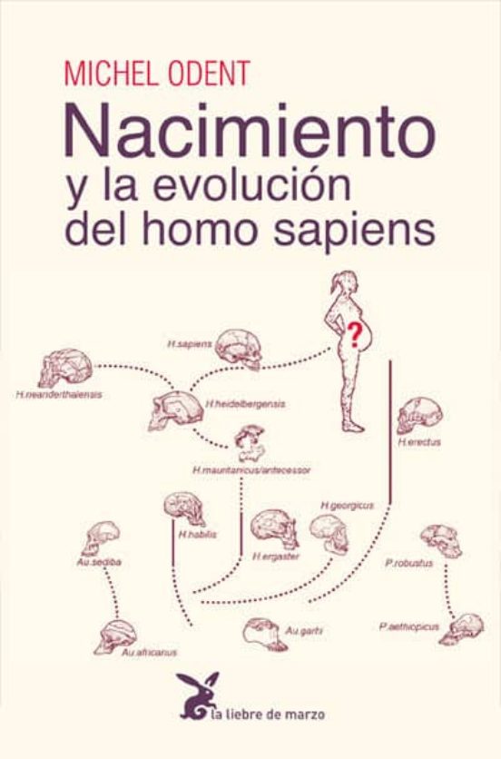 Nacimiento Y La Evolucion Del Homo Sapiens