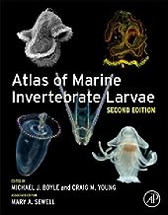 Atlas Of Marine Invertebrate Larvae