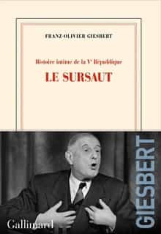 Histoire Intime De La Ve République. Le Sursaut
