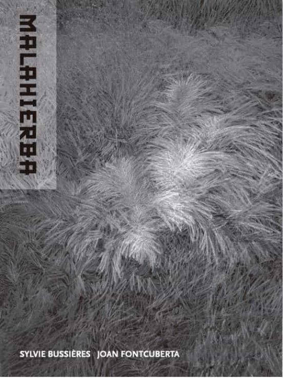 Malahierba