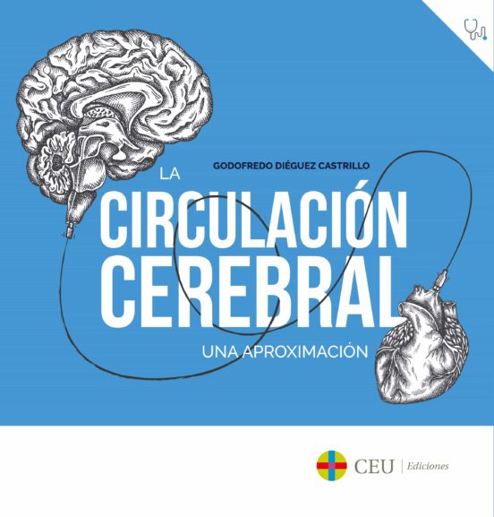 La Circulacion Cerebral: Una Aproximacion