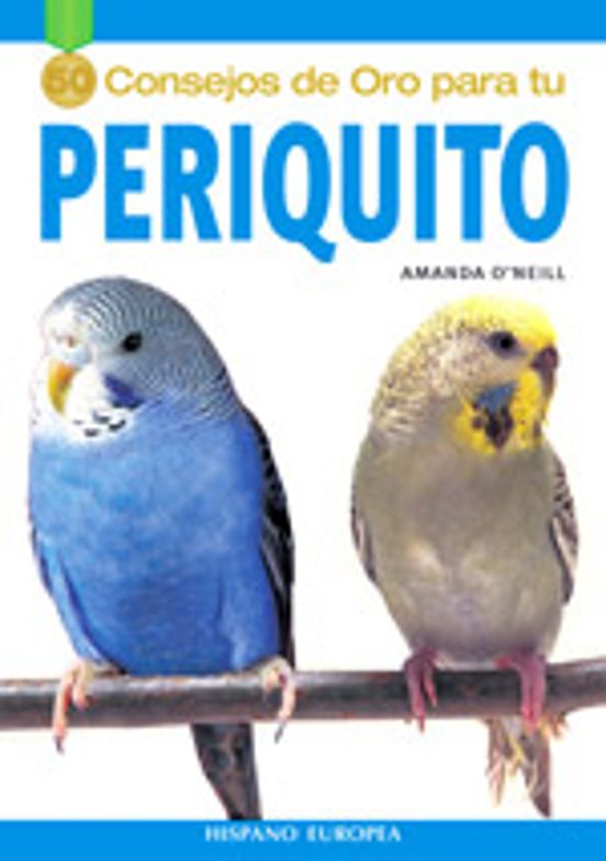 50 Consejos De Oro Para Tu Periquito