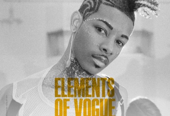 Elements of Vogue. Un caso de estudio de performance radical