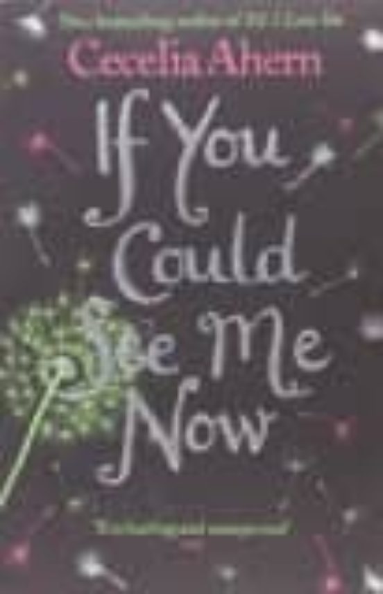 If You Could See Me Now