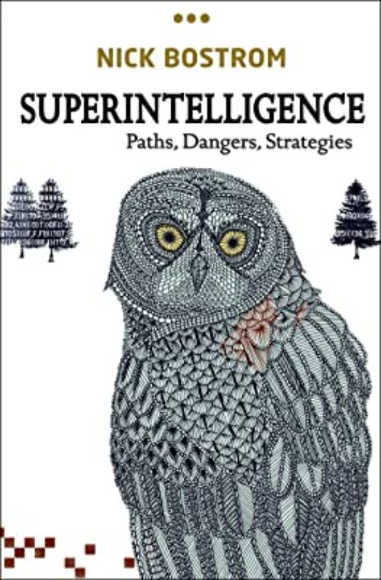 Superintelligence: Paths Dangers Strategies