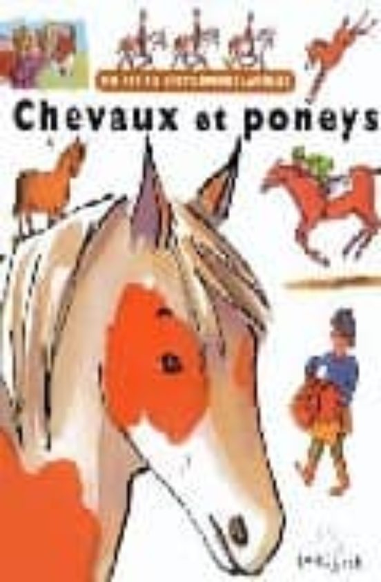 Chevaux et Poneys