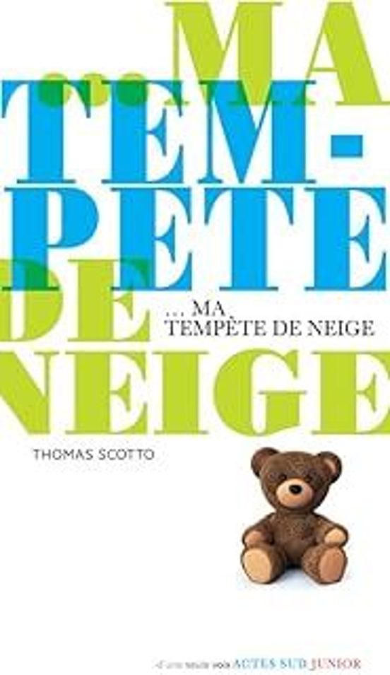 Ma Tempête De Neige