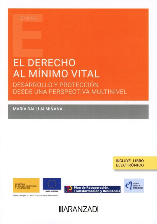 Derecho Al Mínimo Vital. Desarrollo Y Protección Desde Una Perspectiva