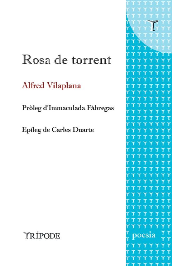 Rosa De Torrent