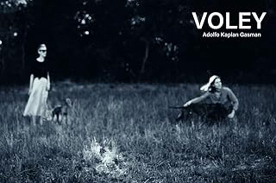 Vóley