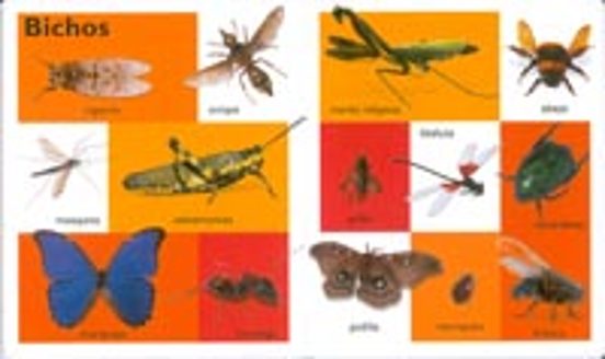 Animales: 101 Primeras Palabras