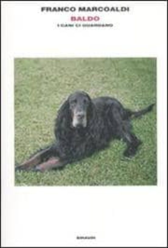 Considerazioni Di un Cane