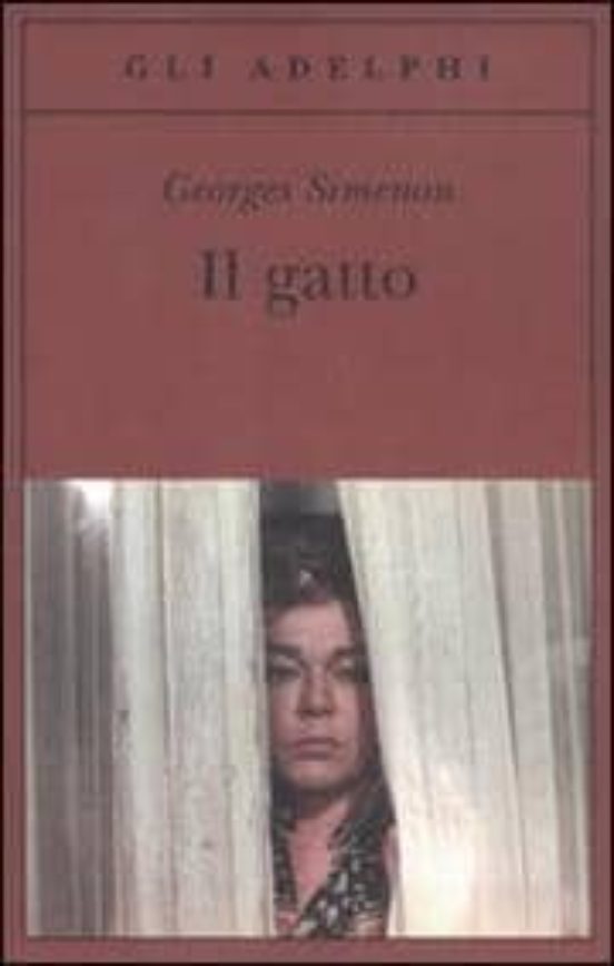 Il Gatto
