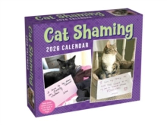 Cat Shaming 2026 Day-to-day Calendar