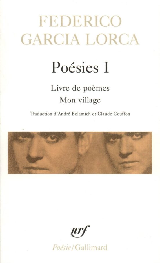 Poesies I: Livres De Poeme/ Mon Village