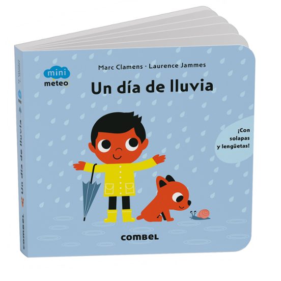 Mini Meteo: Un Día De Lluvia