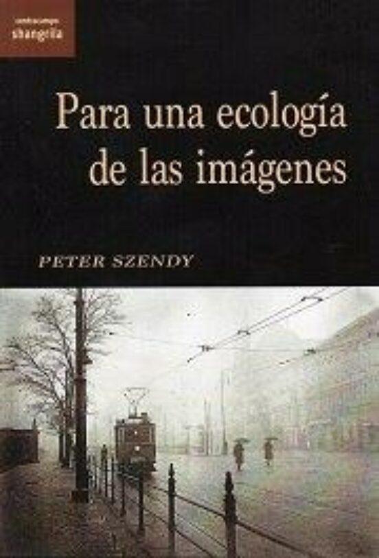 Para Una Ecología De Las Imágenes