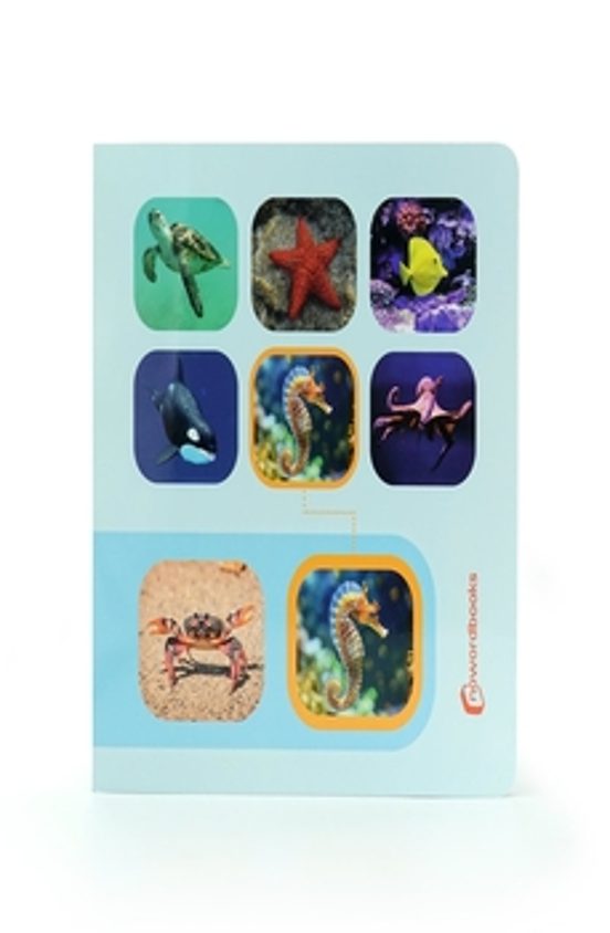 Busca Y Encuentra Animales Del Mar