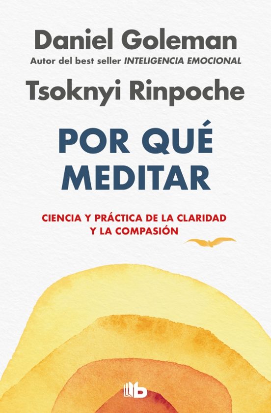 Por Qué Meditar