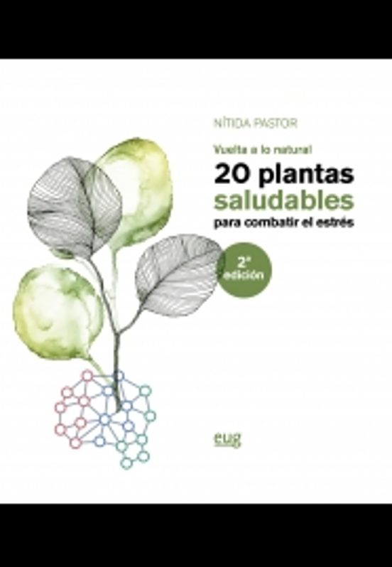 20 Plantas Saludables Para Combatir El Estrés