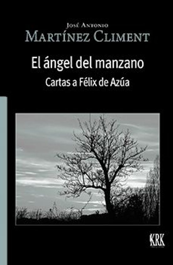 El Ángel Del Manzano