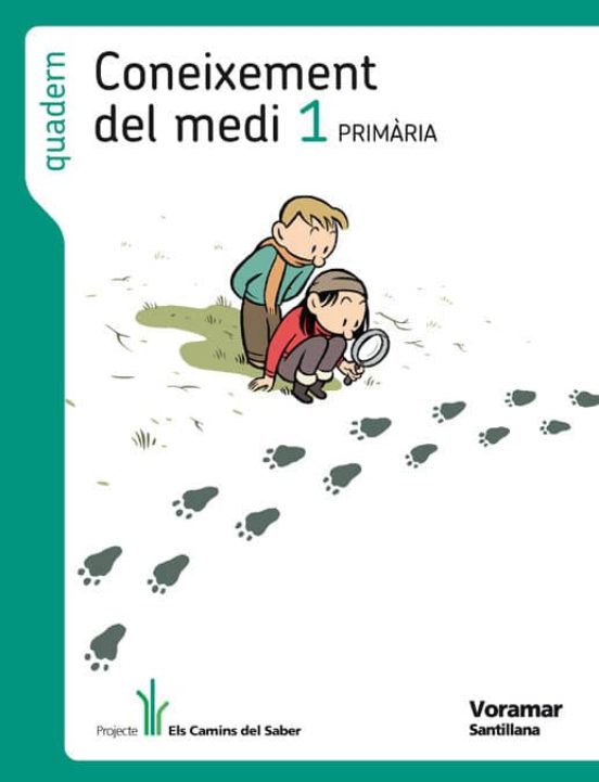 Quad Con.medi Els Camins 1º Primaria Comunidad Valenciana