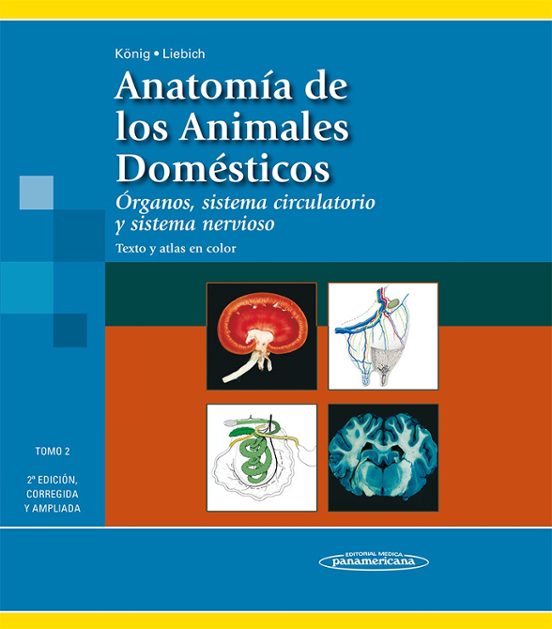 Anatomia De Los Animales Domesticos : Organos Sistema Ci Rcula