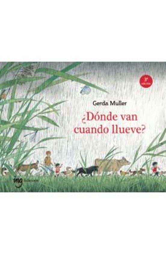 Donde Van Cuando Llueve?