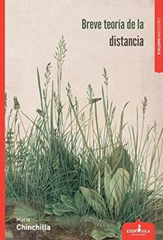 Breve Teoría De La Distancia